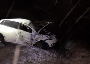 На Кубани иномарка врезалась в дерево: погиб водитель