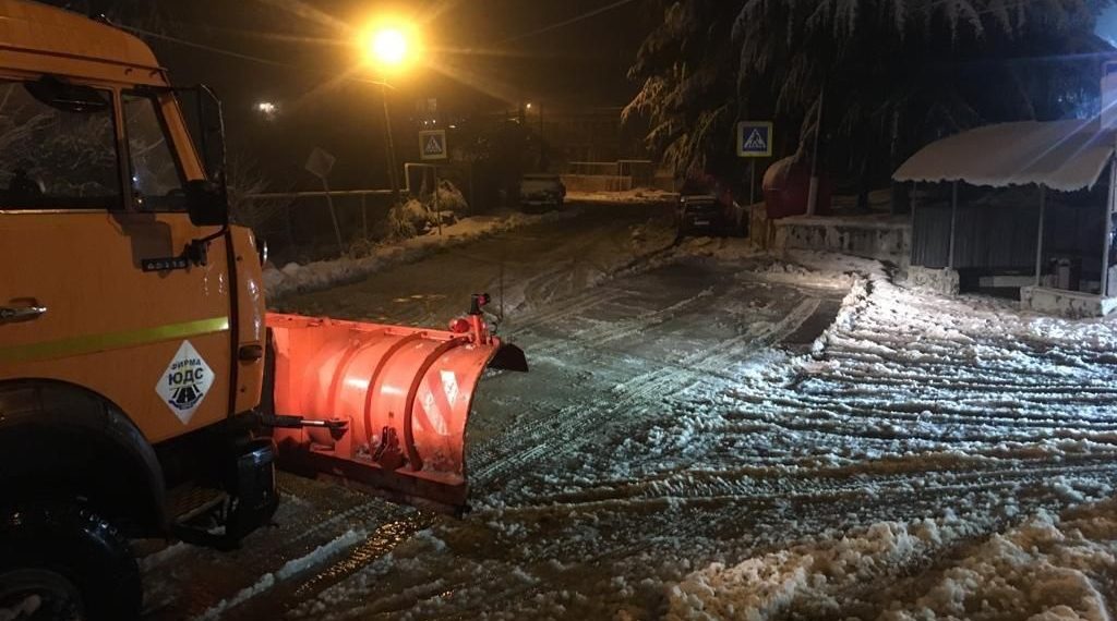 В Сочи ветер повалил 19 деревьев