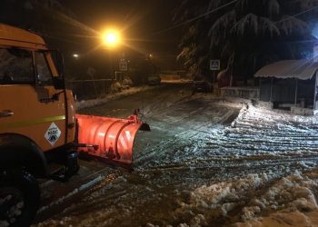 В Сочи ветер повалил 19 деревьев