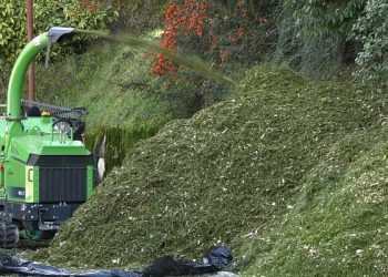 В Сочи более 1500 елок отправили на переработку