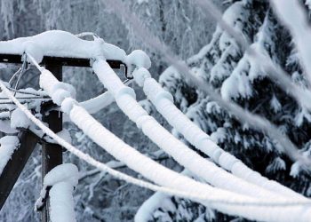 В ближайшие часы в Сочи ожидается сильное налипание мокрого снега