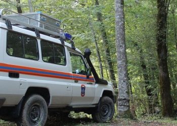 На Кубани 75 спасателей искали заблудившегося в лесу подростка