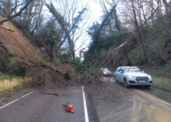В Сочи сель повалил деревья и завалил трассу грунтом
