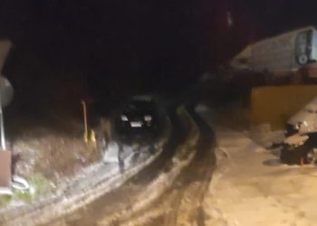 В Сочи 250 единиц спецтехники расчищают дороги