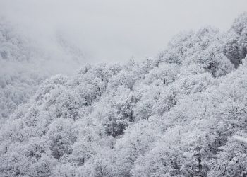 В Сочи продлили штормовое предупреждение о снегопадах