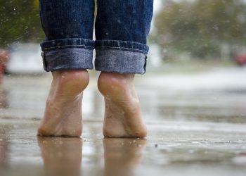 Все эвакуированные на Кубани вернулись в свои дома