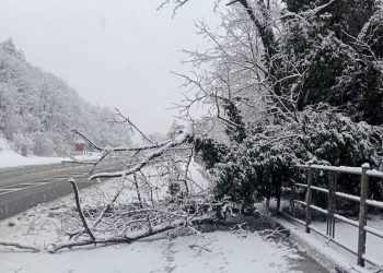 На Кубани обещают грозу, град и ветер до 29 м/с