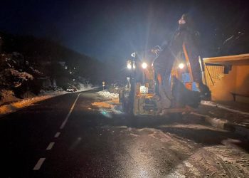 На трассе в Сочи убрали сель, поваливший деревья