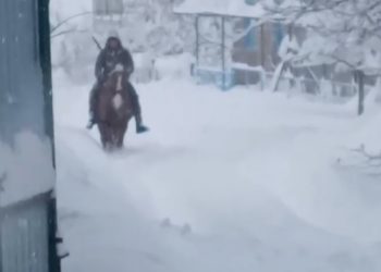 Из-за непогоды жители Кубани пересели на лошадей