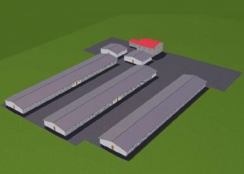 На приют для животных в Краснодаре потратят 134 миллиона