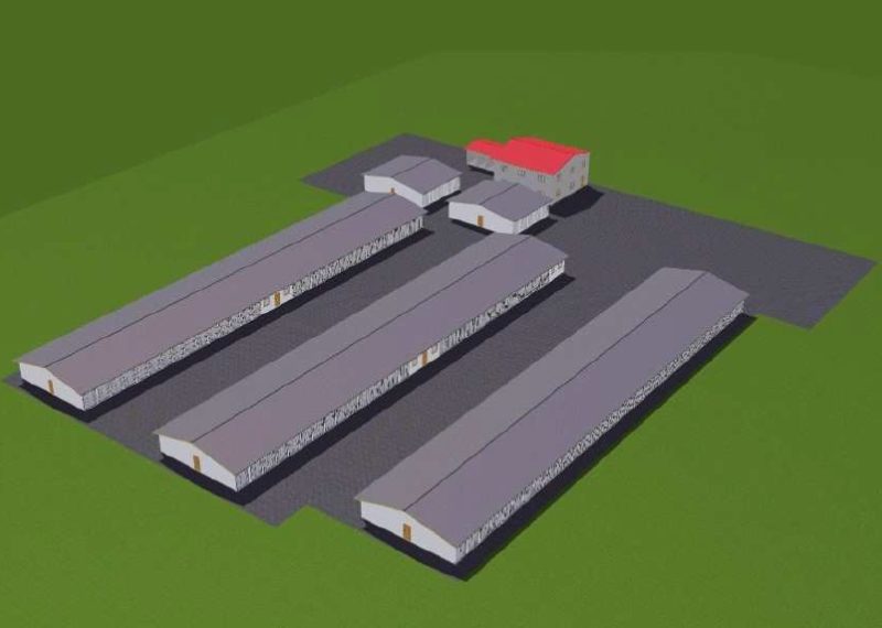 На приют для животных в Краснодаре потратят 134 миллиона