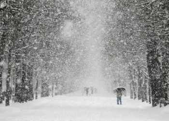 На Кубани на два дня объявили штормовое предупреждение