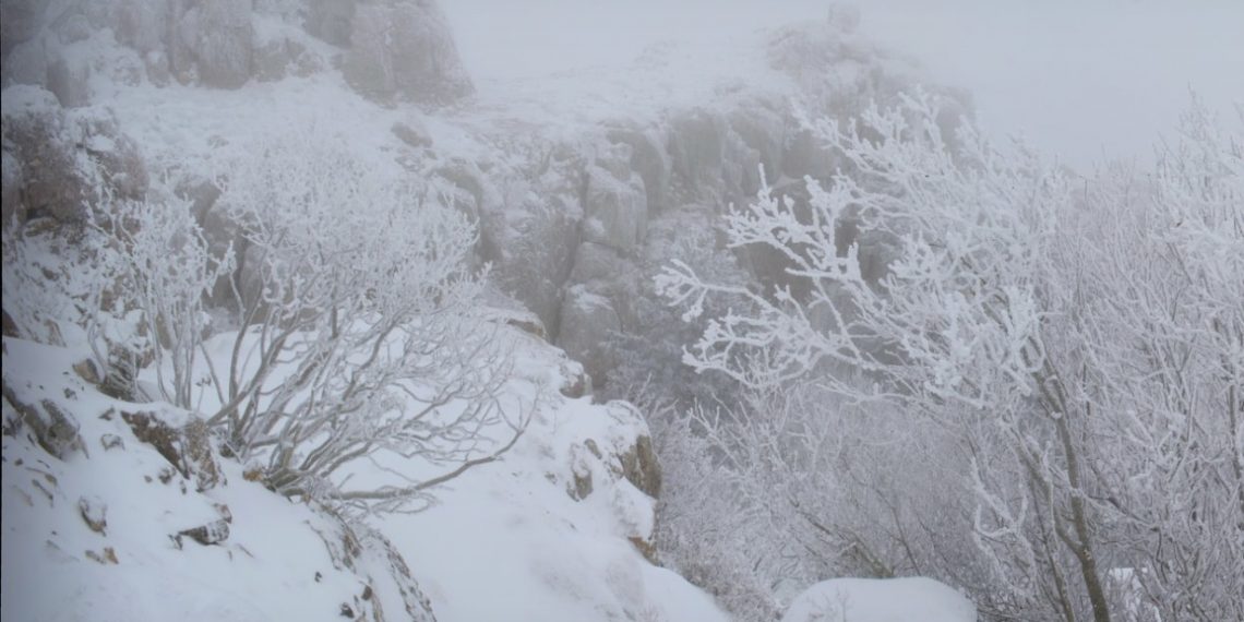 В Сочи объявили штормовое предупреждение из-за снега