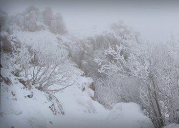 В Сочи объявили штормовое предупреждение из-за снега