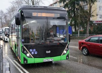 В Сочи будут тестировать электробусы разных производителей