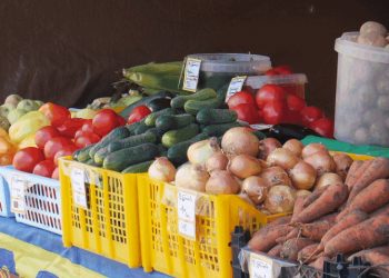 В субботу в Краснодаре открылись 11 ярмарок