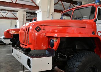 В Краснодаре спасатели вытащили собаку из ямы