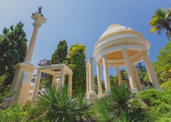 В Сочи высадят 50 тысяч деревьев и кустарников