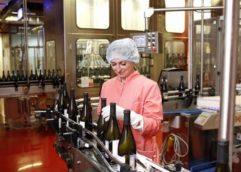 На Кубани реализуют около 100 инвестпроектов