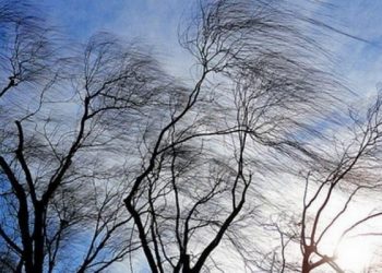 В Сочи ожидается ветер до 17 м/с