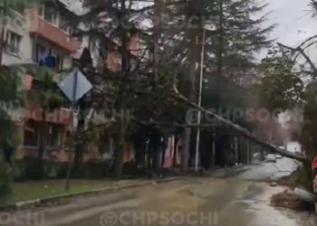 В Сочи на дорогу сошел оползень