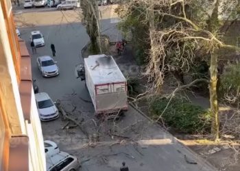 В Сочи грузовик уронил дерево на припаркованные легковушки