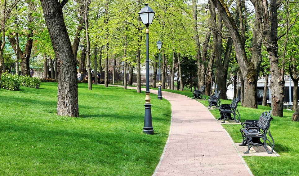 На Кубани пройдет голосование по выбору территорий для благоустройства