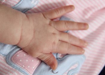 С начала года на Кубани родились 7620 детей