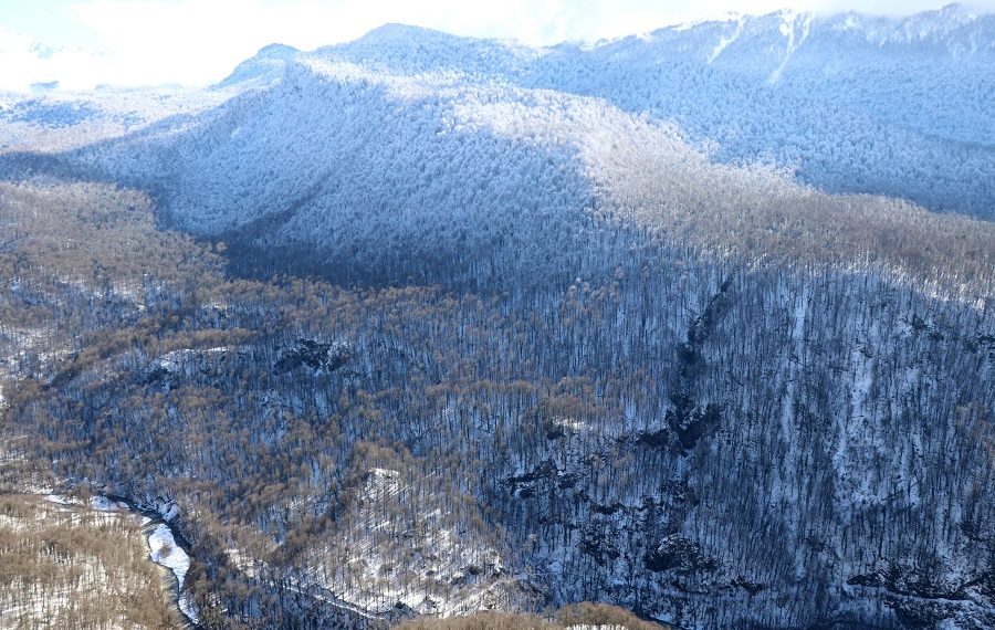 В Сочи нашли тело пропавшего монаха, но из воды не вытащили