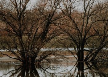 На Кубани могут подняться уровни воды в реках