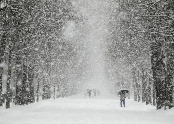 На Кубани объявили штормовое предупреждение