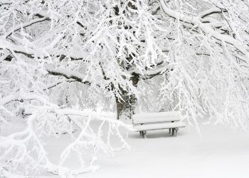 В Сочи объявили штормовое предупреждение из-за снега