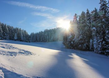 В Сочи спасли ребенка, упавшего в снежную яму