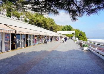 В Сочи появится электронная схема расположения торговых объектов