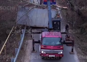 В Сочи манипулятор опрокинул контейнер, зацепившись за дерево