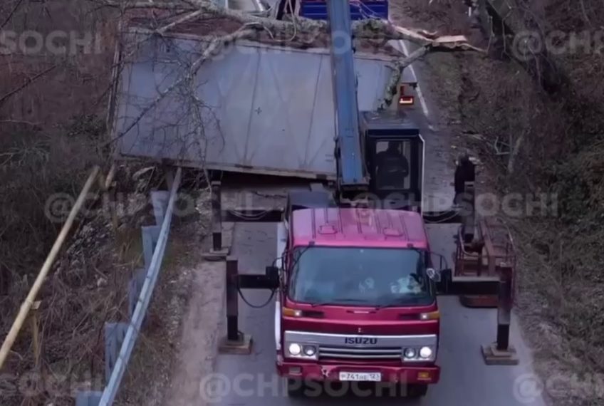 В Сочи манипулятор опрокинул контейнер, зацепившись за дерево