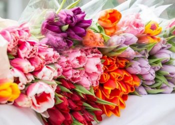 На Кубани 8 марта пройдут более 1200 мероприятий