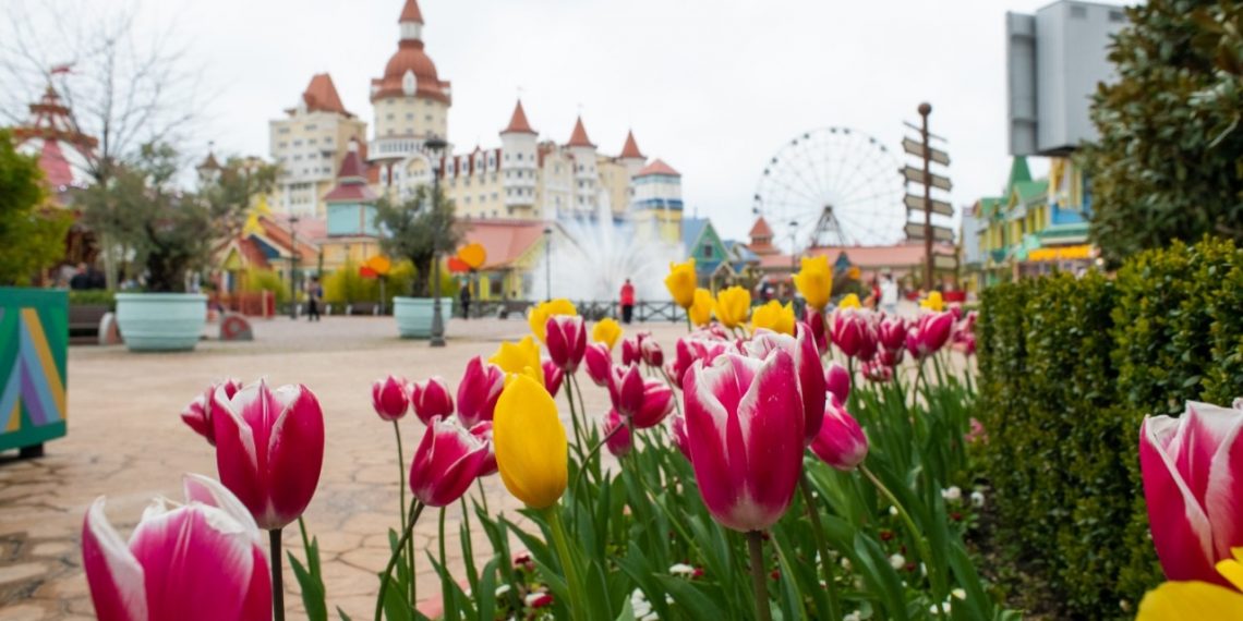 Сочи Парк анонсирует праздничные скидки в марте