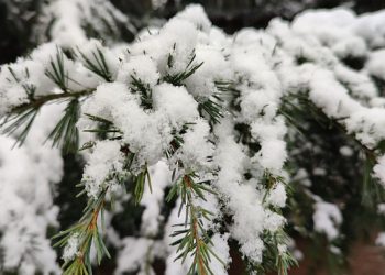 На выходных в Сочи ожидается мокрый снег