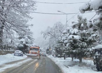 В Сочи всю ночь убирали снег