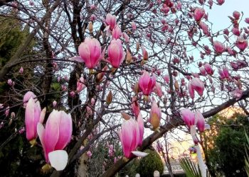 В Сочи похолодает до -7 градусов