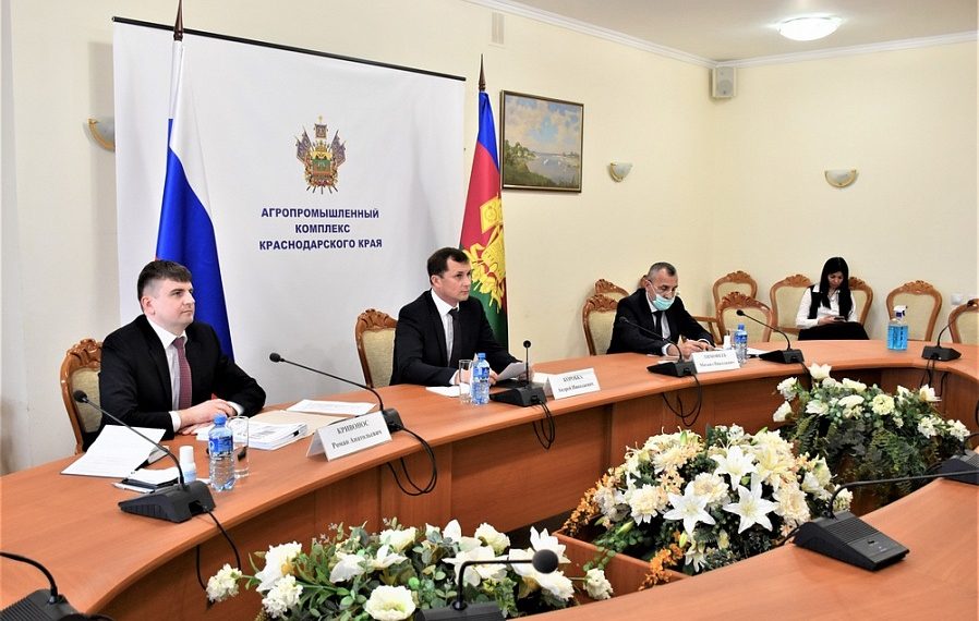 На Кубани ветеринарная служба получит миллиард рублей