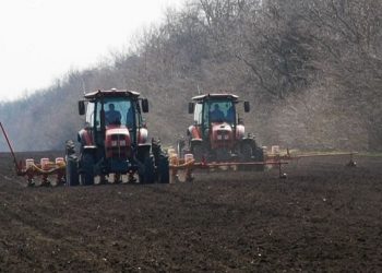 На Кубани приступили к севу сахарной свеклы