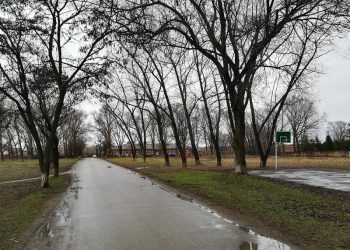 В станице Кущевской реконструируют парк