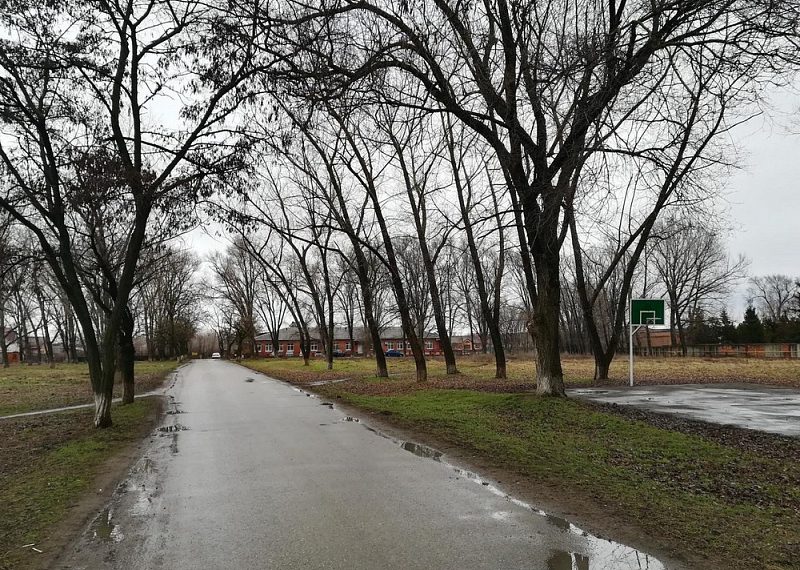 В станице Кущевской реконструируют парк