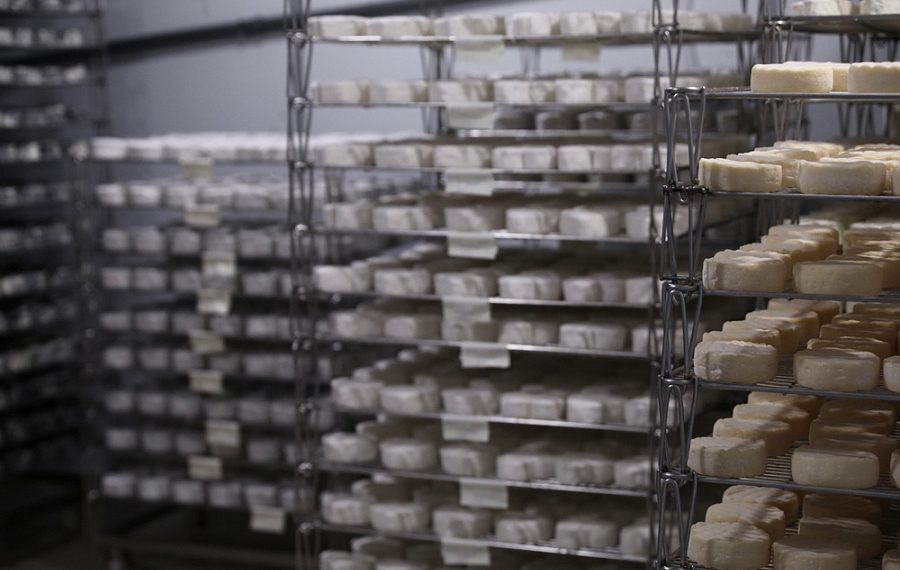 На Кубани появится новый цех по производству сыров