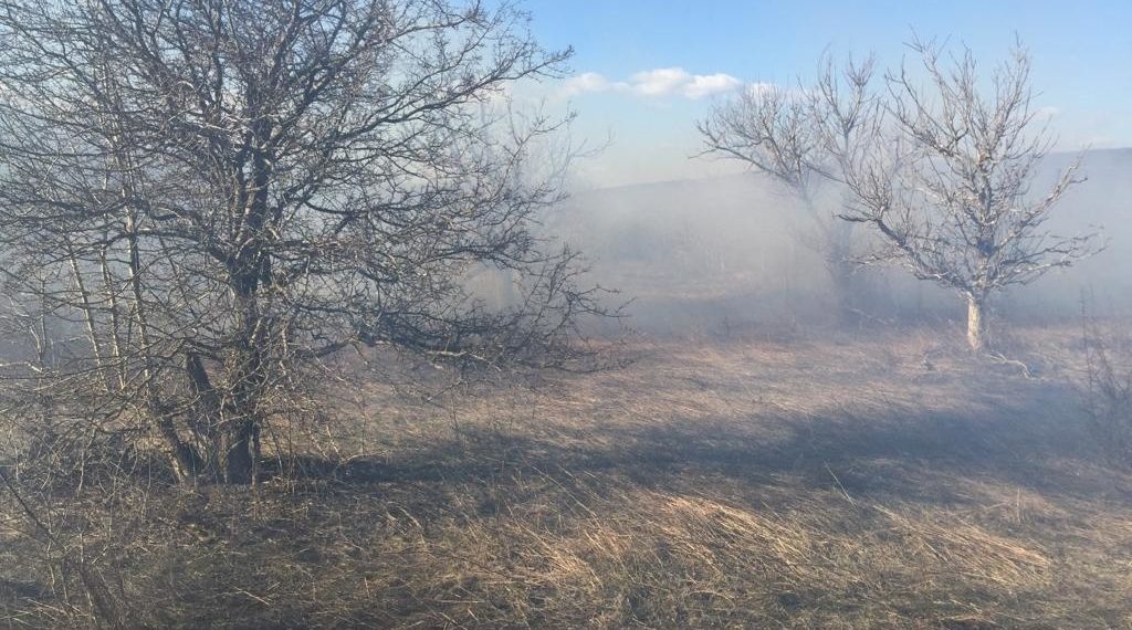 Под Новороссийском 19 человек тушили лесной пожар