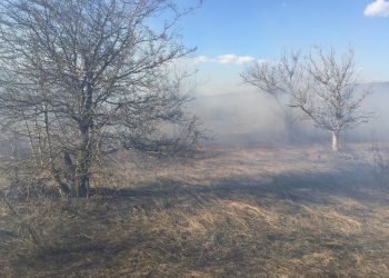 Под Новороссийском 19 человек тушили лесной пожар