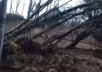 Возле домов в Сочи сошел оползень