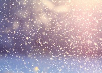 В горах Сочи побили пятилетний рекорд по снегу